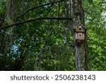 A wooden birdhouse attached to a tree with lush greenery in the background.