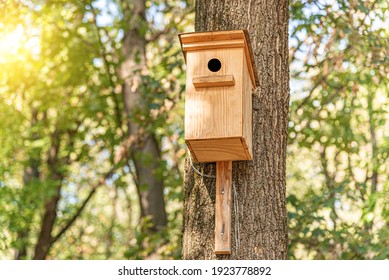 Wooden birdhouse for birds on a tree in the park.