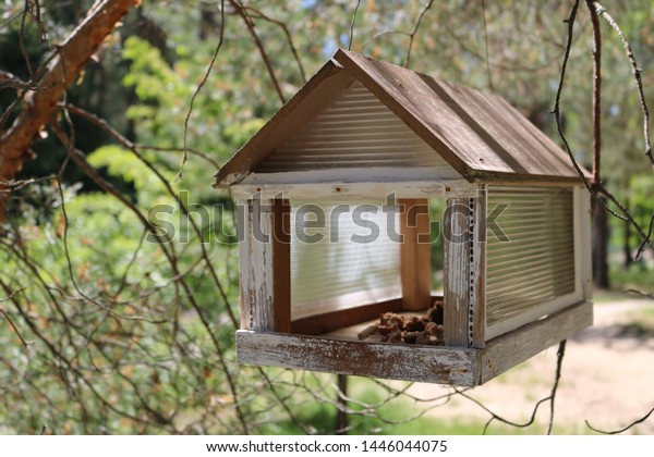 Wooden Birdhouse Closeup Park Bird Feeder Stock Photo Edit Now