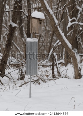 Wooden birdhouse with metal baffle with snow