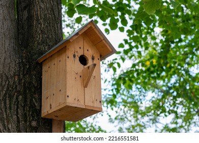 Wooden Birdhouse On A Tree