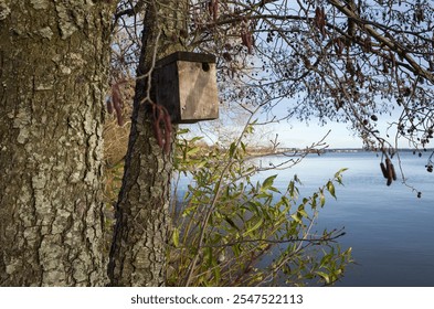 Wooden birdhouse on a tree on the lakeshore on an autumn day in Scandinavia, lake Mälaren in Västerås, Sweden - Powered by Shutterstock