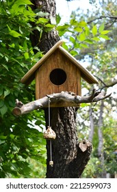 Wooden Birdhouse In The Treetop.