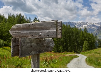 A wooden blank signpost shows the road. In the background are bright forests and mountains