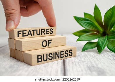 Wooden Block With Text FEATURES OF BUSINESS On White Background