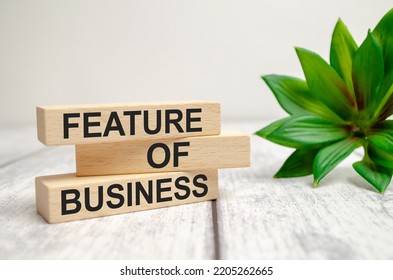 Wooden Block With Text FEATURES OF BUSINESS On White Background