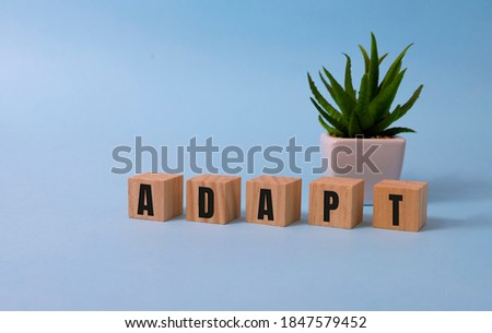 Wooden Blocks with the text: Adapt. Adaptation to changing reality business crisis management concept.