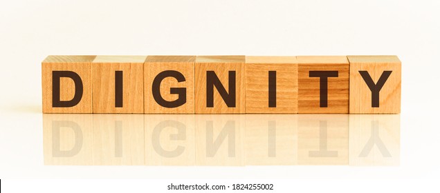 Wooden Blocks with the text: Dignity. The text is written in black letters and is reflected in the mirror surface of the table. New business relaunch startup concept. - Shutterstock ID 1824255002