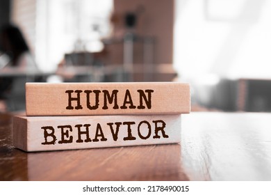 Wooden blocks with words 'Human behavior'.