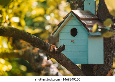 Wooden blue birdhouse on a apple tree in the farm park zone. Simple birdhouse design. Shelter for bird breeding, nesting box on a tree
