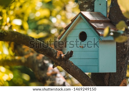 Wooden blue birdhouse on a apple tree in the farm park zone. Simple birdhouse design. Shelter for bird breeding, nesting box on a tree Сток-фото © 
