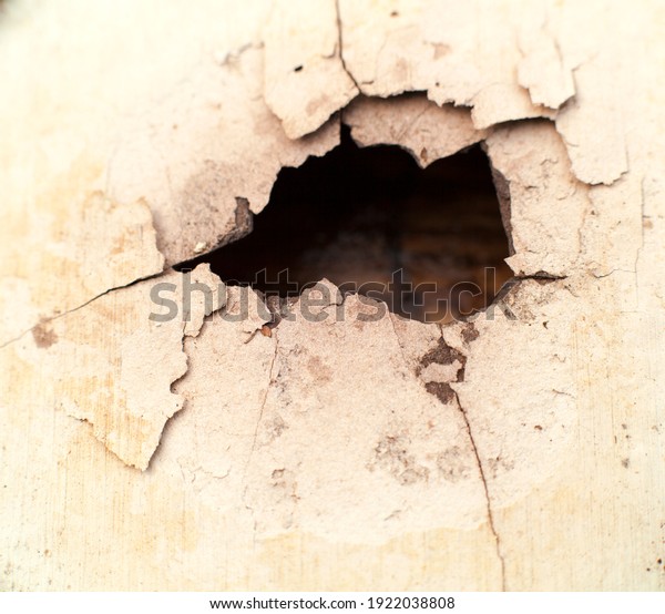 wooden board with a bullet\
hole