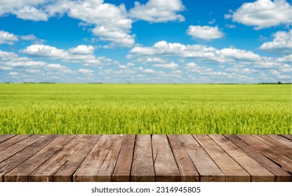 Wooden board empty table background. Green wheat field landscape - Shutterstock ID 2314945805