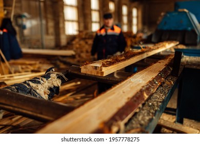 Wooden Board On The Conveyor. People Work On An Automated Sawmill. Industrial Enterprise For Wood Processing. A Worker Carries A Board For Sawing