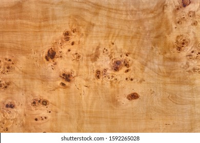 wooden board with poplar burl veneer - wood knot texture background burr 