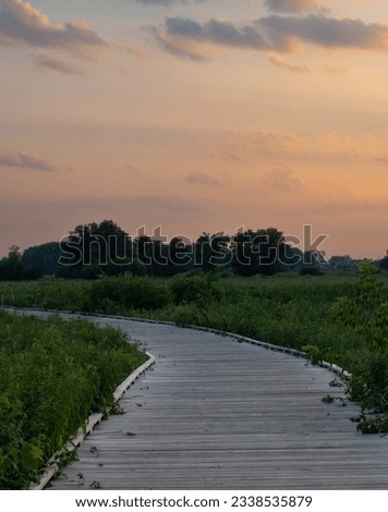 Wooden boardwalk cutting through lush green marshland in Blaine Wetland Sanctuary nature preserve. Photographed at sunset.