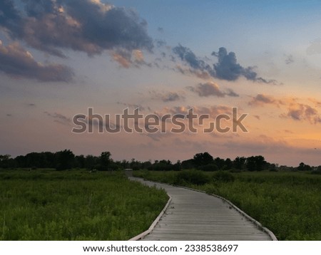 Wooden boardwalk cutting through lush green marshland in Blaine Wetland Sanctuary nature preserve. Clouds reflect colors of the sunset.