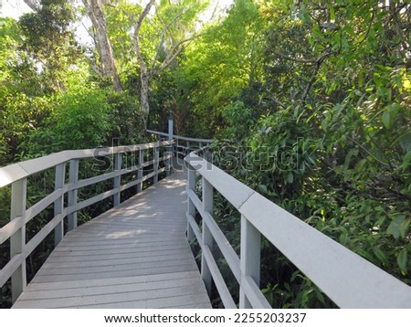Wooden Boardwalk Fern Forest Nature Center Coconut Creek, Florida