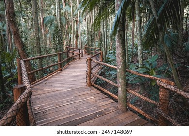 Wooden boardwalk, a hiking trail in the tropical forest, at the Botanical Garden in São Paulo, Brazil. - Powered by Shutterstock