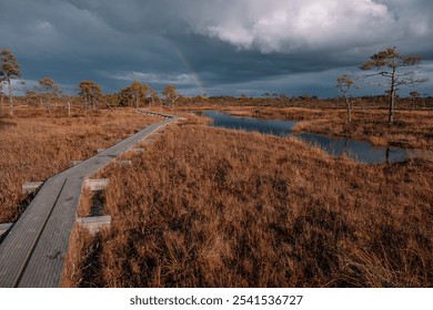 A wooden boardwalk leads through golden marsh grass beside a calm waterway on an overcast day with rainbow on backside. Nature in Estonia - Powered by Shutterstock