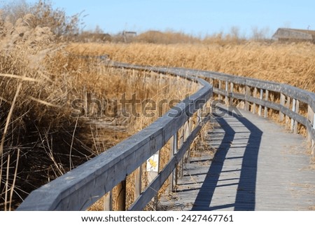 wooden boardwalk leads the way through natural tall grass prairie in autumn