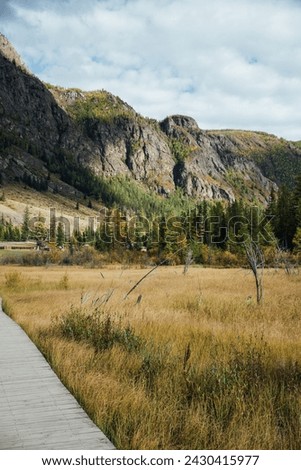 A wooden boardwalk meanders through a golden-hued meadow at the base of a majestic mountain, inviting a peaceful walk in the heart of nature. Scenic Mountain Pathway