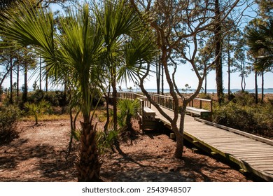 A wooden boardwalk meanders through lush vegetation, guiding visitors to the tranquil water off the coast of Hilton Head Island. - Powered by Shutterstock