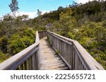 Wooden boardwalk on the Sulphur Banks trail in the Kilauea crater in the Hawaiian Volcanoes National Park on the Big Island of Hawai