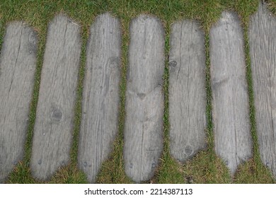 Wooden Boardwalk In The Overgrown Grass