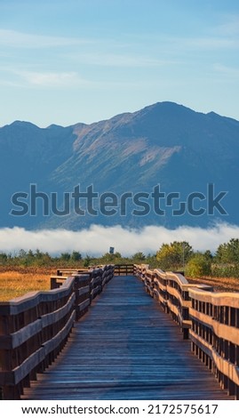 A wooden boardwalk in Potter Marsh Bird Sanctuary, Alaska	