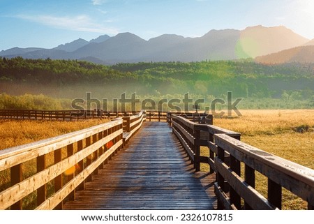 A wooden boardwalk in Potter Marsh Bird Sanctuary, Alaska.