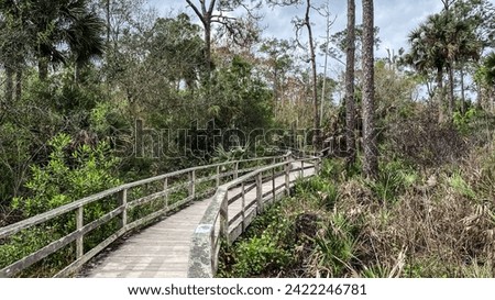 Wooden Boardwalk through Corkscrew Swamp Sanctuary in Naples Florida