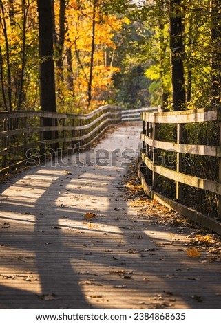 Wooden boardwalk through the forest with autumn leaves