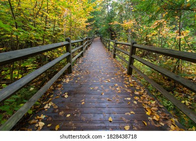 Wooden boardwalk through Michigan autumn forest on the North Country Trail in Tahquamenon Falls State Park