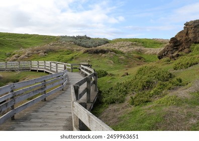 Wooden boardwalk winding through grassy terrain at The Nobbies on Phillip Island, Victoria, Australia - Powered by Shutterstock