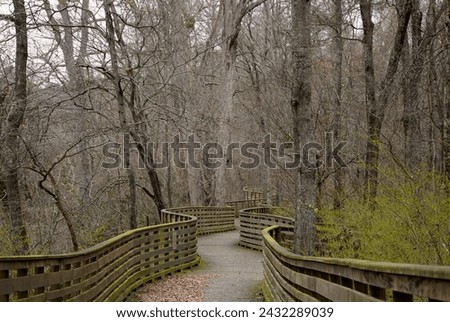 A wooden boardwalk winds through the bare trees in winter on the South Chickamauga Creek Greenway in Chattanooga, TN - horizontal image. 