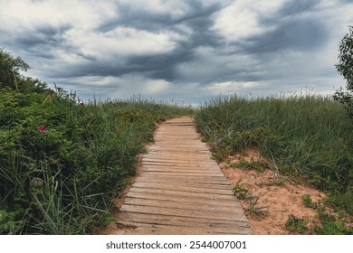 A wooden boardwalk winds through grassy dunes, leading toward the beach under an overcast sky, capturing the serene and rustic beauty of a coastal landscape - Powered by Shutterstock