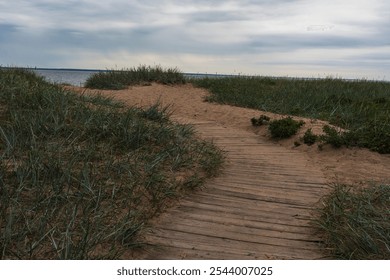 A wooden boardwalk winds through grassy dunes, leading toward the beach under an overcast sky, capturing the serene and rustic beauty of a coastal landscape - Powered by Shutterstock