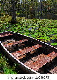 Wooden Boat In A Cypress Swamp