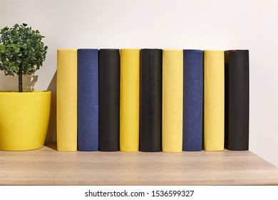 Wooden Book Shelf With Series Of Books, No Titles Shown, Blank Sides