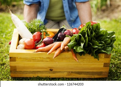 Wooden box filled fresh vegetables