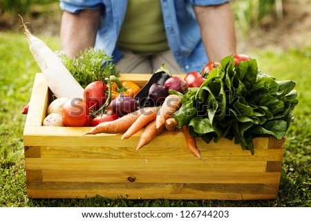 Wooden box filled fresh vegetables