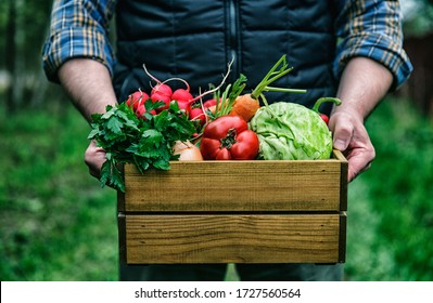 Wooden box with fresh farm vegetables in man's hands outdoors. - Shutterstock ID 1727560564