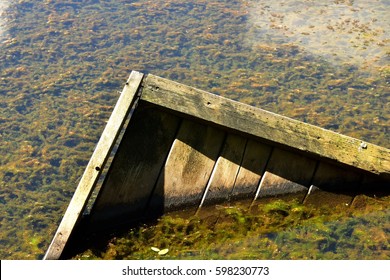 Wooden Box in a Green Marsh (used for waterfowl to sit on in a waterfowl conservatory) - Powered by Shutterstock