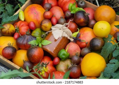 Wooden Box With Mix Of Multicolored Ripe Tomatoes Stands On The Garden Bed. Fresh Tomato, Basil With A Jar Of Ketchup For Sale At The Farmers Market. Concept Of Gardening And Delivery Of Organic Food