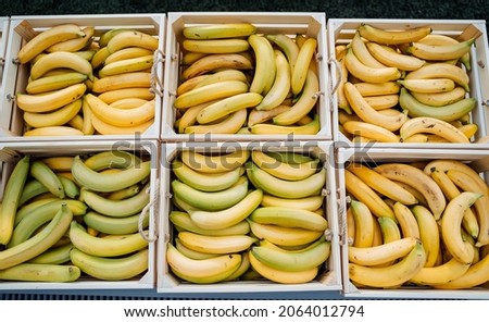 Wooden boxes with ripe bananas. Bananas on the counter. Vegetable and fruit market. Juicy colors of fruit. High quality photo