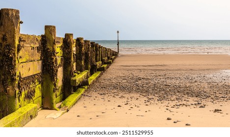 A wooden breakwater, covered by seaweed  stands on a sandy beach. There are pebbles and shingle in the foreground and a clear sky is above. - Powered by Shutterstock