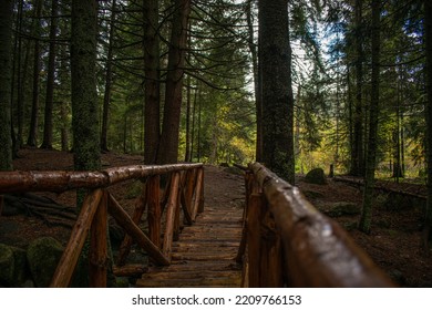 Wooden Bridge Above The Stream