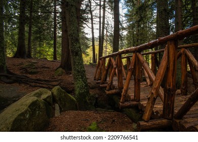 Wooden Bridge Above The Stream In The Forest