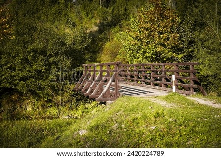 Wooden bridge across mountain creek in Biala Woda nature reserve in autumn, Pieniny, Poland.